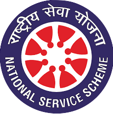 NSS Logo